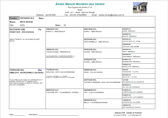 Clique aqui para aumentar