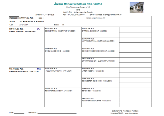 Clique aqui para aumentar