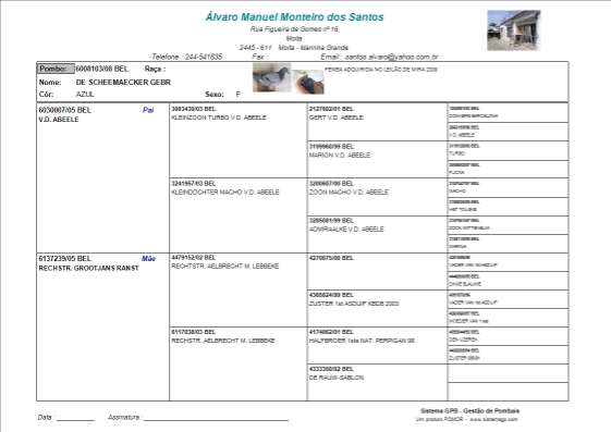Clique aqui para aumentar